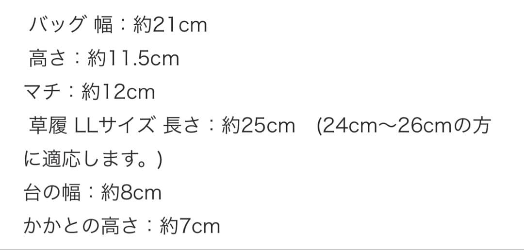 バックと草履セット　 L L