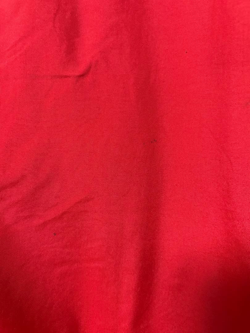 シェルドシンチラ　patagonia