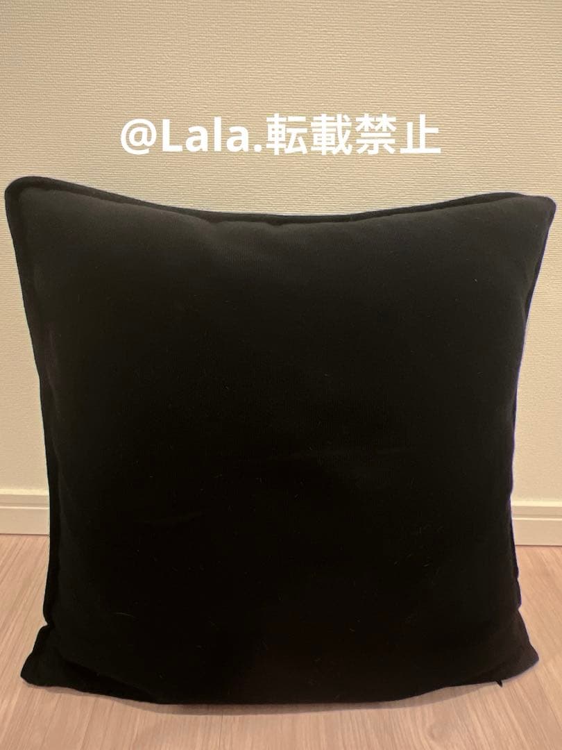 <激レア>lucien pellat-finet ルシアンペラフィネ　クッション