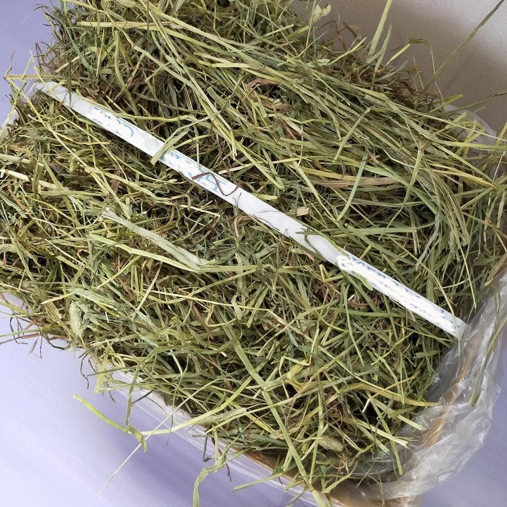【お得な業販価格】US産 チモシー 2番刈り 300kg ソフトSプレミアム