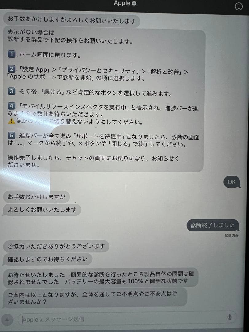 も*ゃ様 美品！iPad Pro 12.9 256 M2 最大容量100%！送料