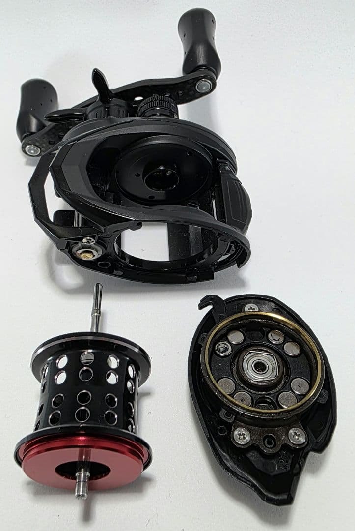 【AbuGarcia】ROXANI BF8