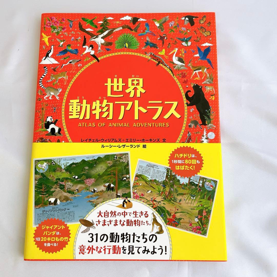MAPS マップス 新・世界図絵　愛蔵版　他8冊セット　アンダーアース