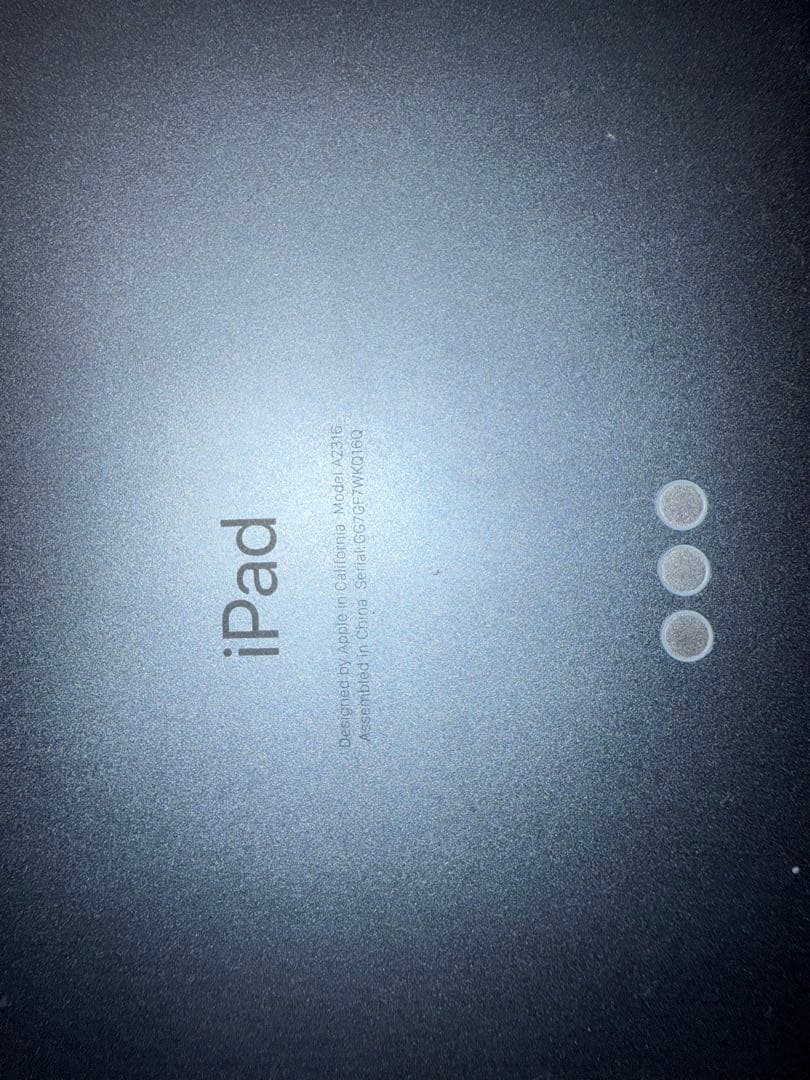 iPad本体 ichi