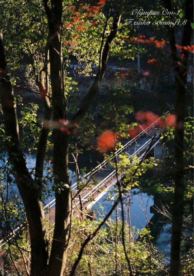 ★入門に★OLYMPUS OM-1/レンズセット★完動品＊美品＊初期保証