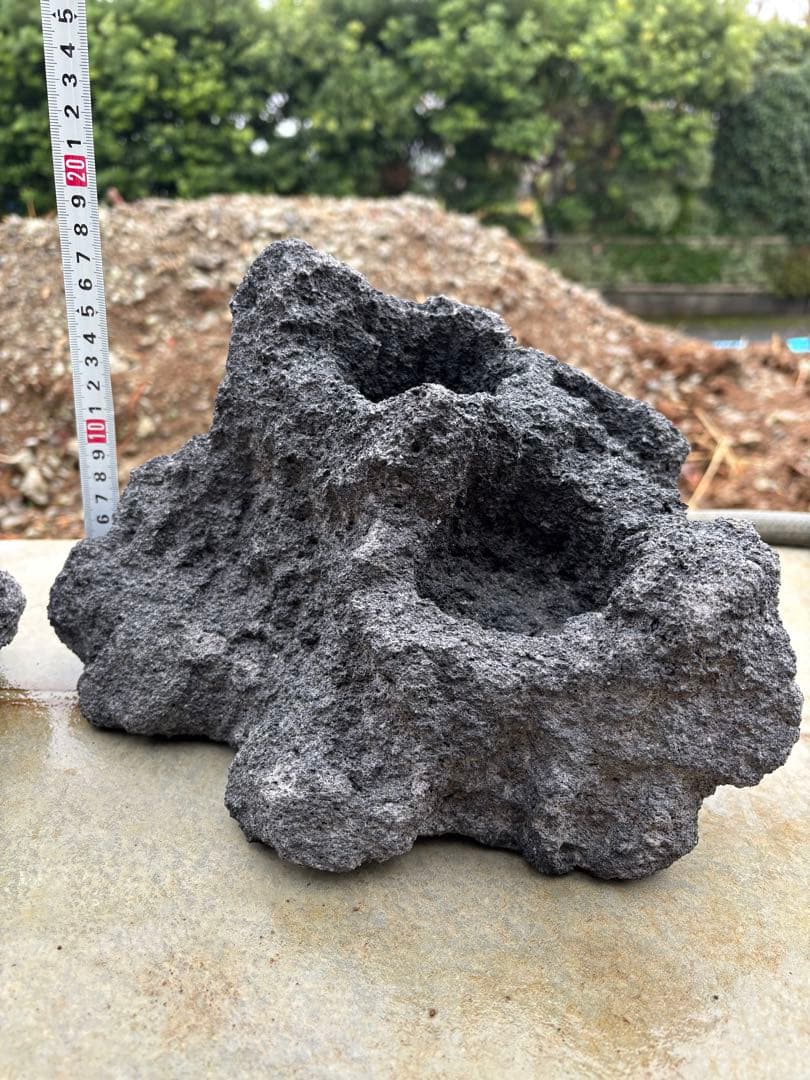 ADA 雲山石　セット　良形