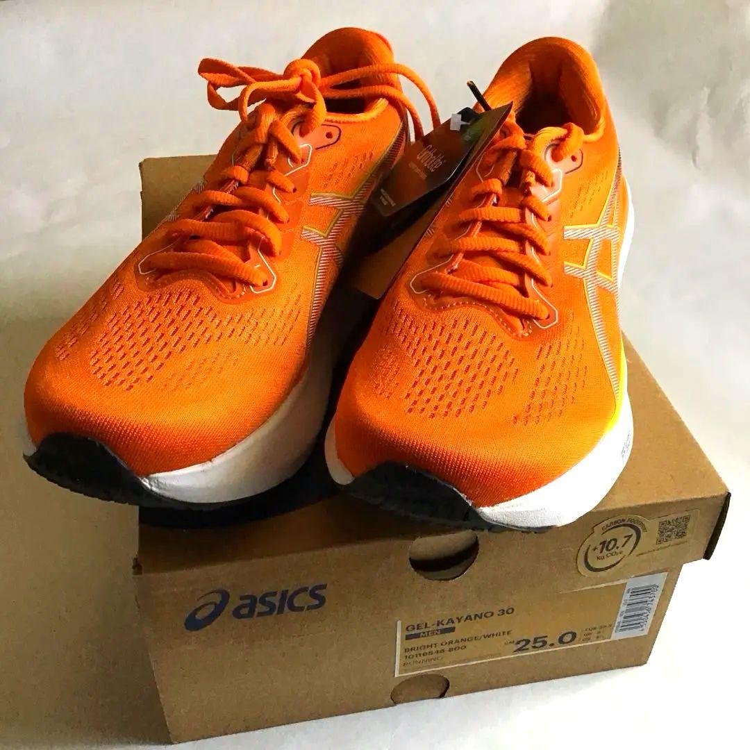ASICS GEL-KAYANO 30 ゲルカヤノ25.0cm 【新品・未使用】