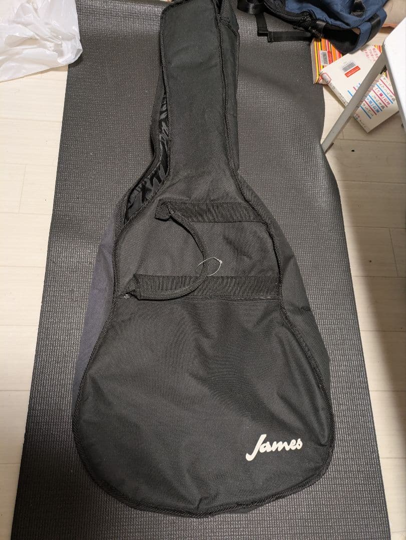 James JD400 アコースティックギター　ケース付き