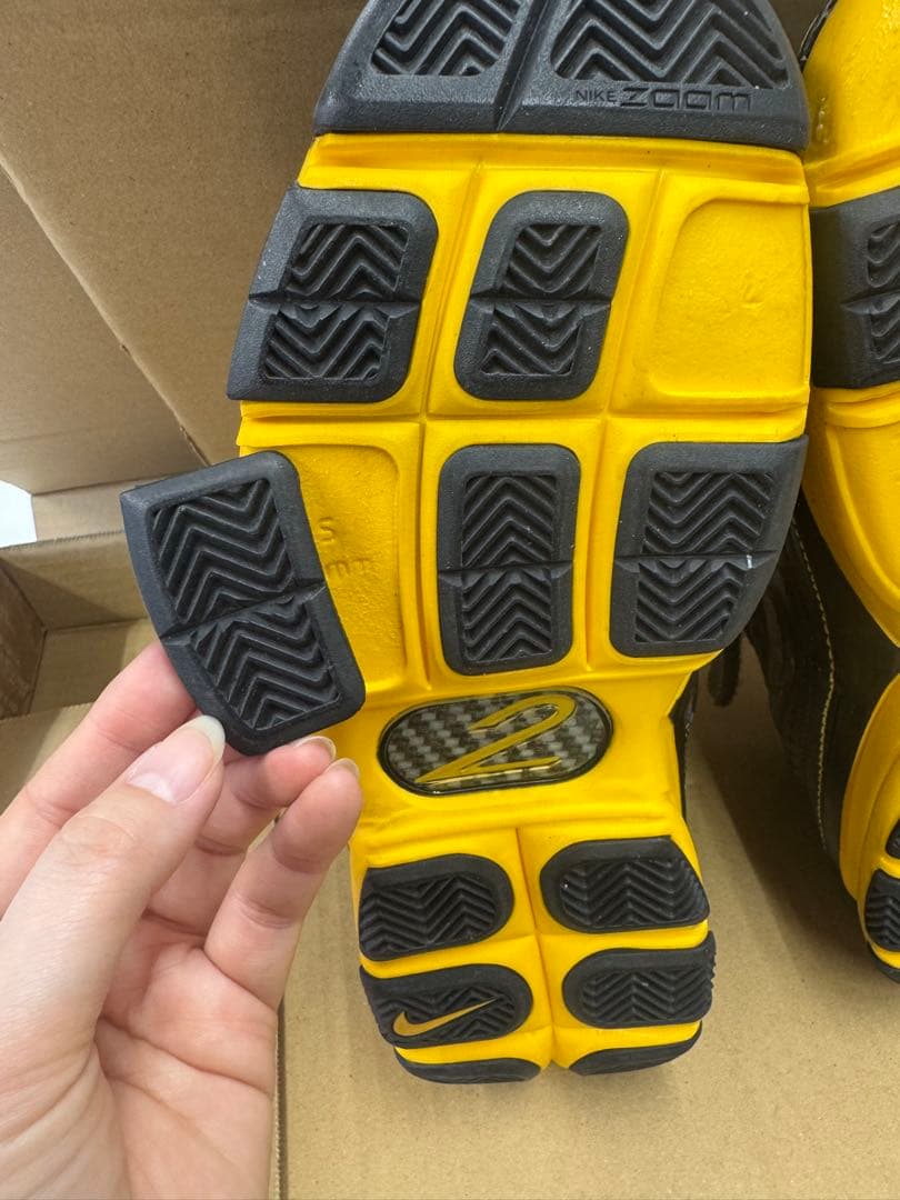 ナイキZoom kobe2 \"Carpe Diem\"27.5cm (説明欄必読)