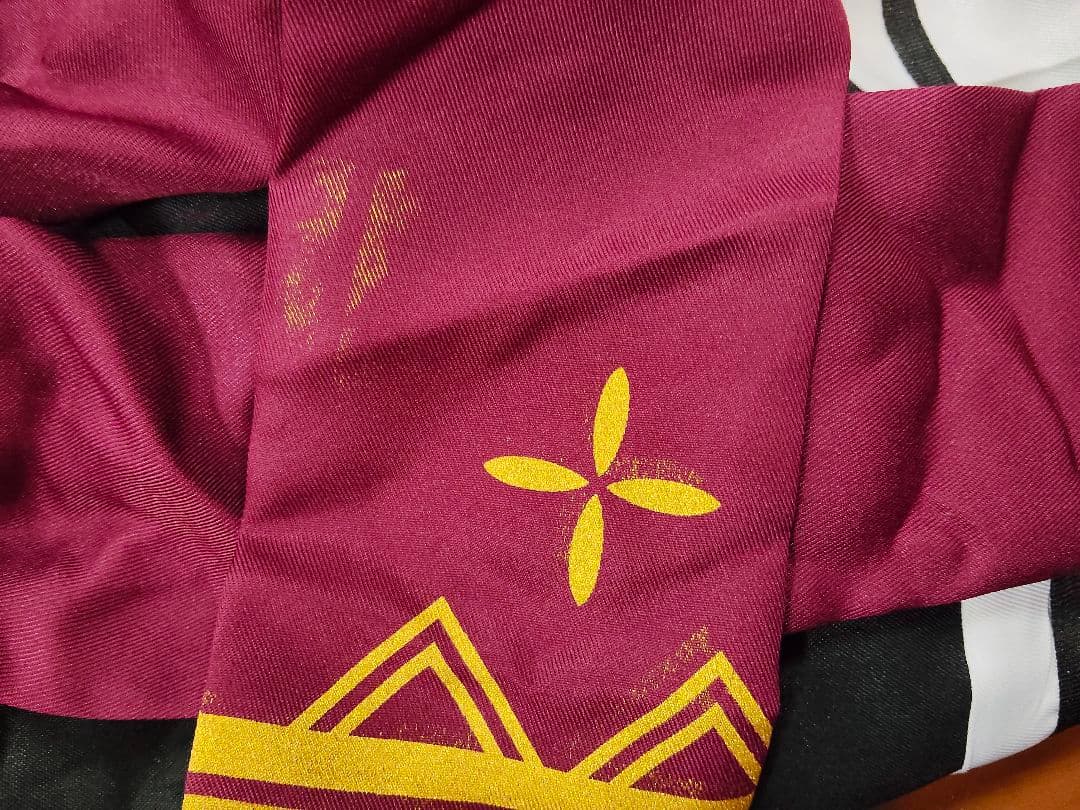 にじさんじ　甲斐田晴　コスプレ衣装セット（ウィッグ・アクセサリー付き）