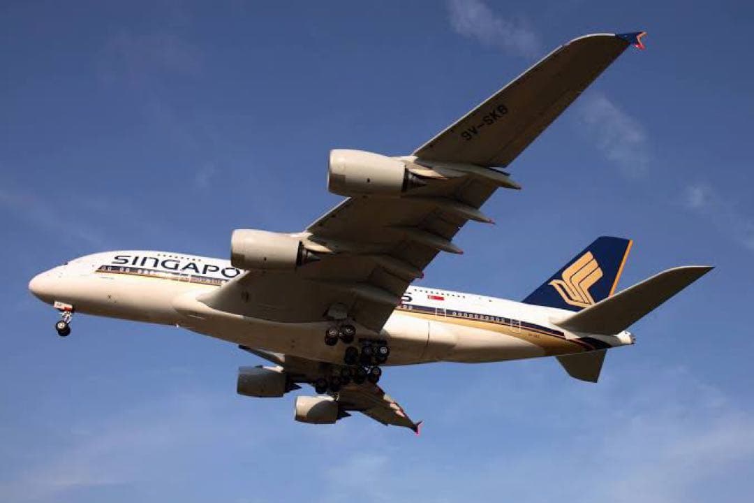 ももんじゃさん専用 モンブランスターウォーカー エアバスA380ファインライナー