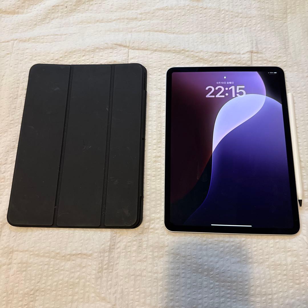 m*i様 iPad Pro 11インチ 第1世代 Wi-Fi 256GB ＋ P