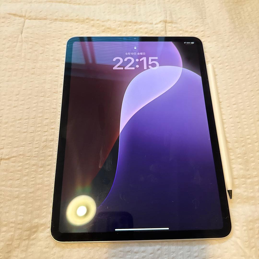 m*i様 iPad Pro 11インチ 第1世代 Wi-Fi 256GB ＋ P