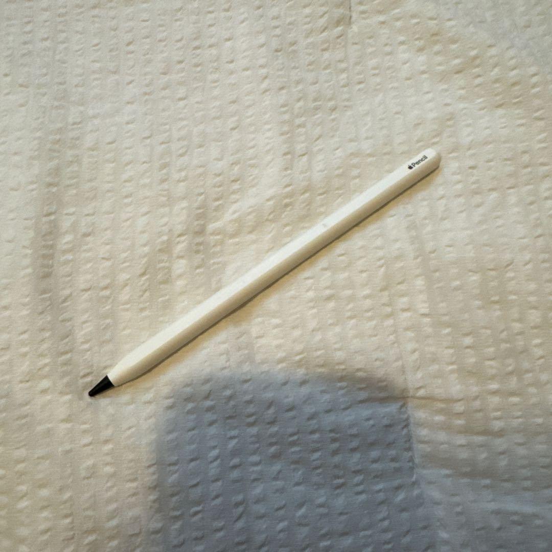 m*i様 iPad Pro 11インチ 第1世代 Wi-Fi 256GB ＋ P