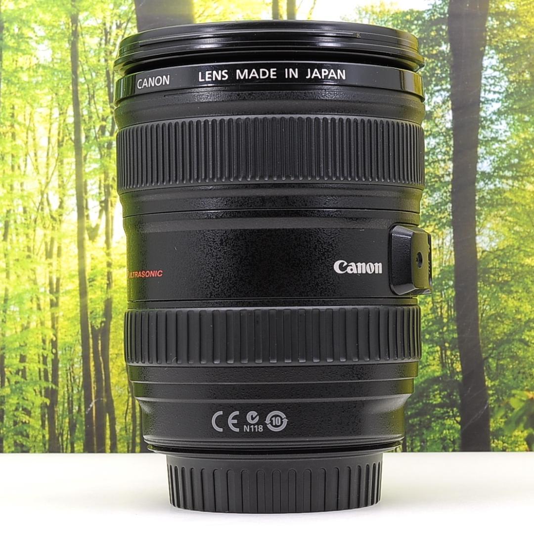 最高級のLレンズ☆キャノン EF 24-105mm F4L IS USM