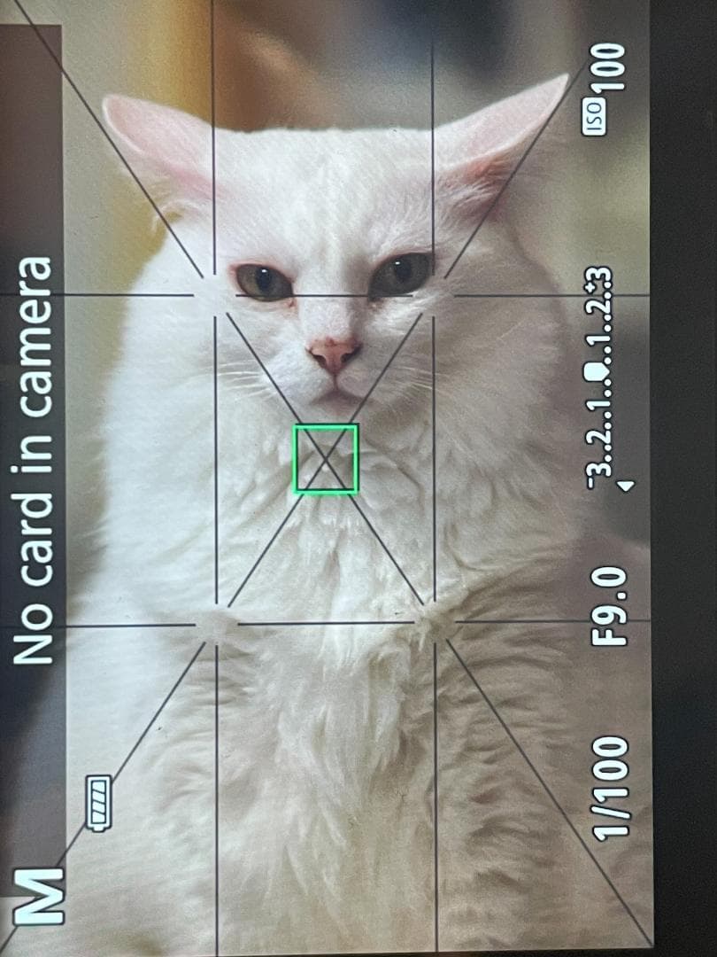 [#387] TAMRON AF 200-400mm F5.6 キャノン