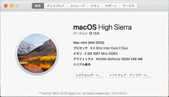 Mac mini 2010 2.4GHz SSD256GB メモリ4GB+ケース