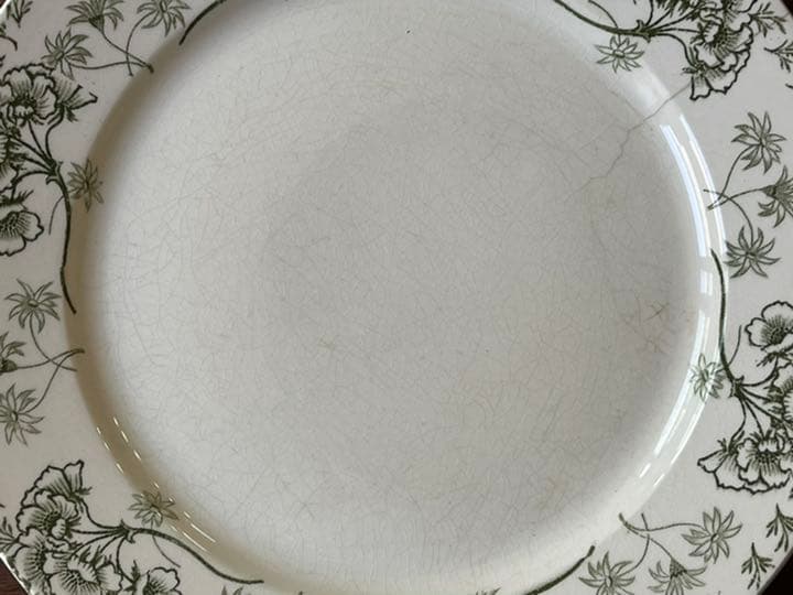 【引越しセール】Sarreguemines サルグミンヌ プレート2枚セット