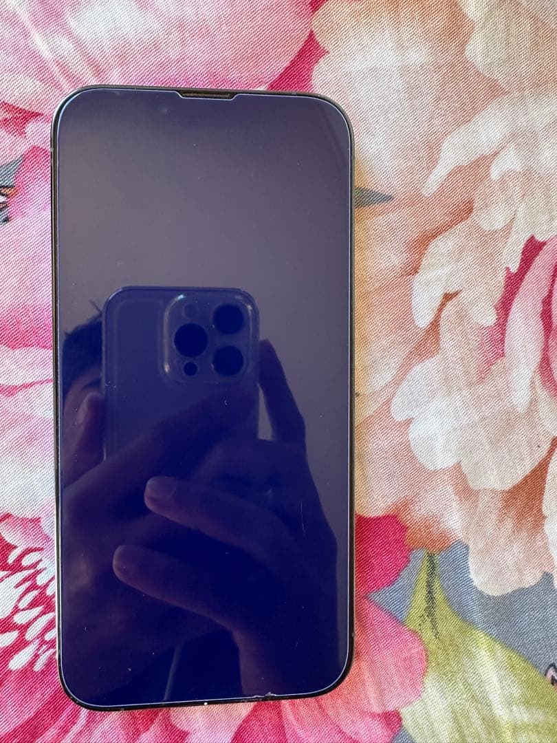 Apple iPhone 13 Pro シルバー 本体