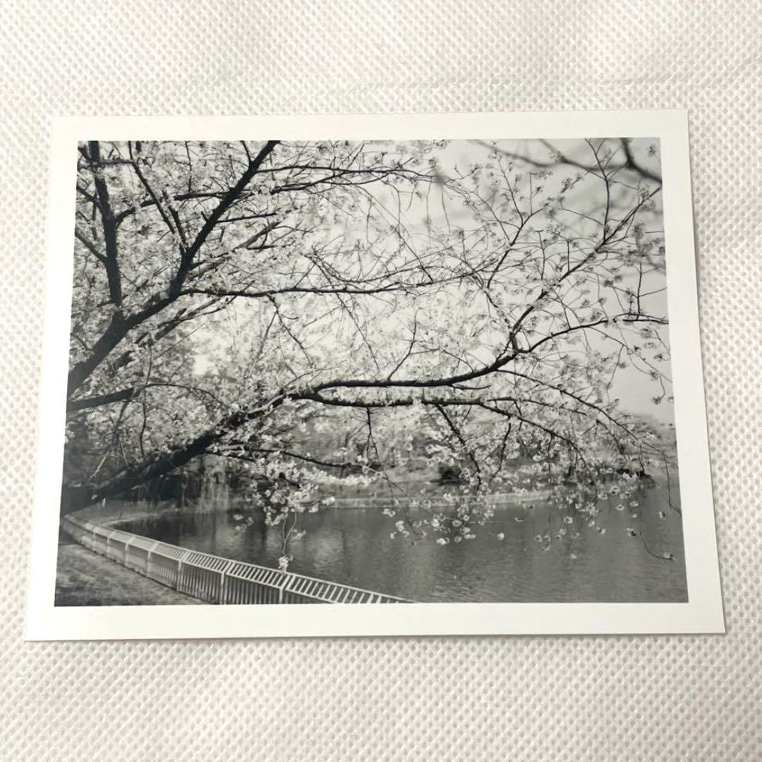 PENTAX67用 SMC TAKUMAR 55mm F3.5 美品