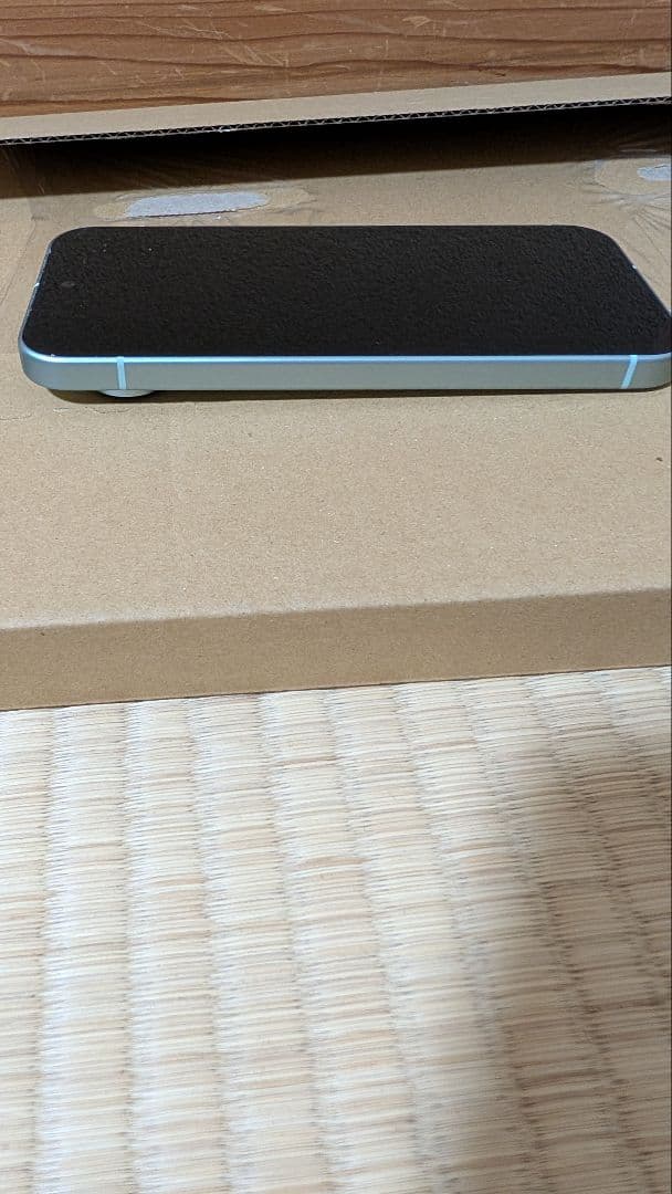 【美品】Pixel9　本体　128GB 　グリーン