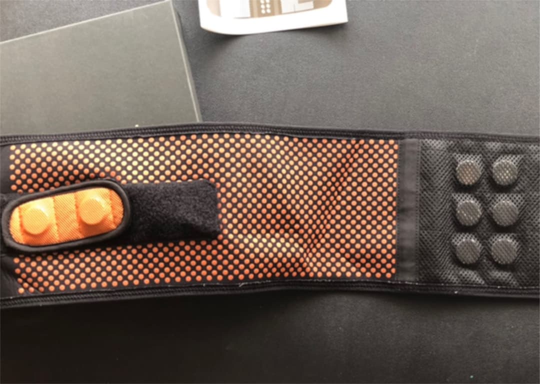 バイオテラベルト