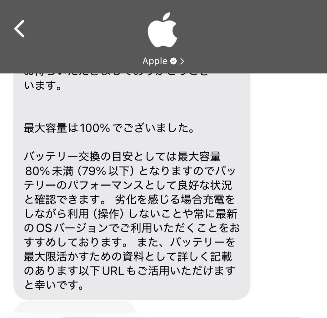 iPad mini6 256GB Wi-Fi バッテリー100%ペンシル付き