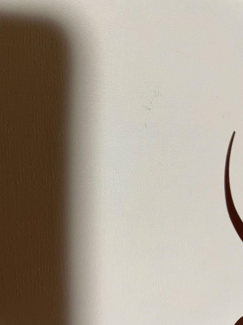 最終値下げ‼️ReFa BX ホワイト 美容ドライヤー