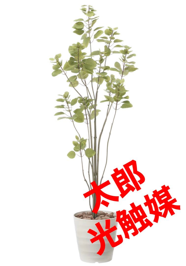 光触媒　人工観葉植物　フェイクグリーン　フィカスブランチツリー1.7