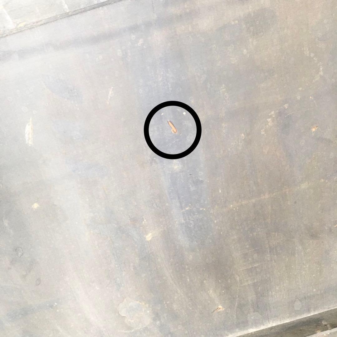 ☆★レア看板☆サラヌミルク デリゴール 王乳粉 代理店マルチ薬局 レトロ