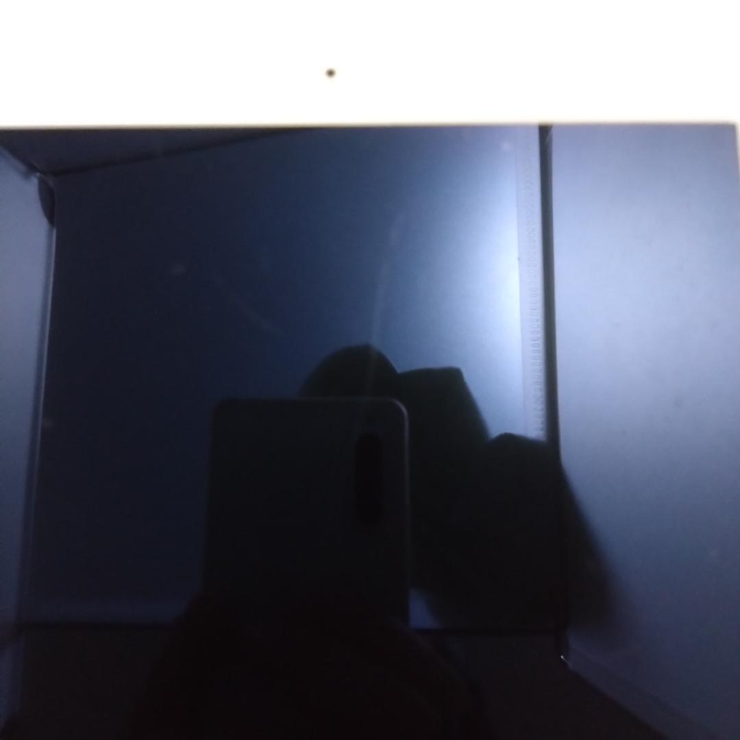 Apple iPad mini2 ME860J/A　ROM:128GB　動作中古