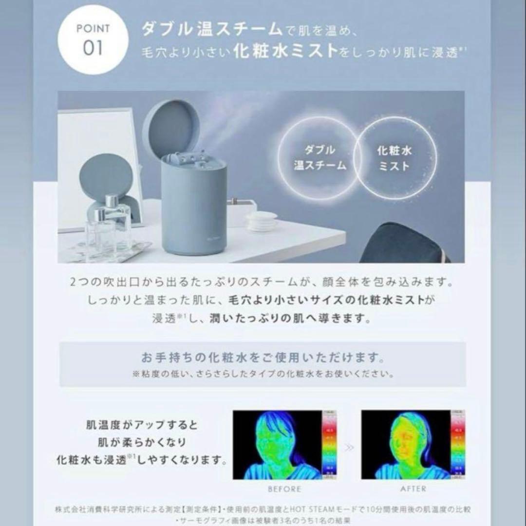 新品　SALONIA ピュアブライトスチーマー（型番 SAL22207SL）