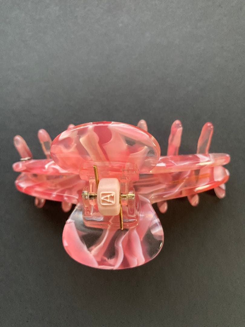 ( 最終価格 ) 試着程度 アレクサンドルドゥパリ クリップ