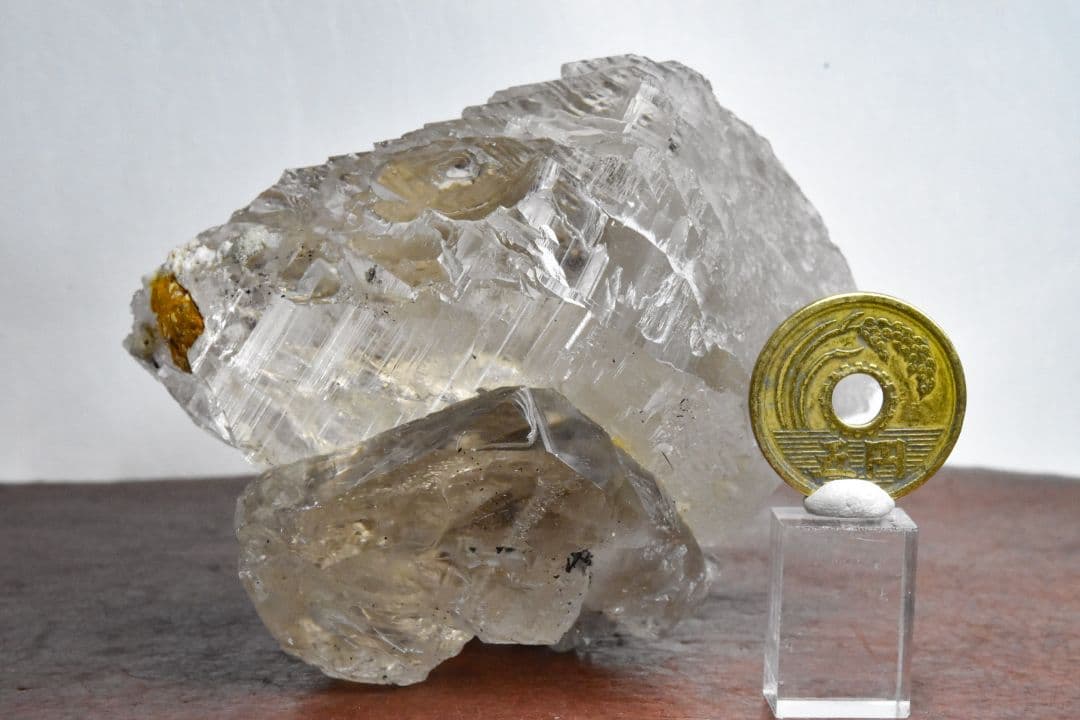 スレイマン山脈Shalman産 スモーキーグインデルルチル付き04