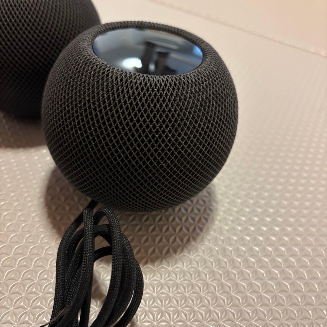 Apple Pod mini スペースグレイ スピーカー　2個セット