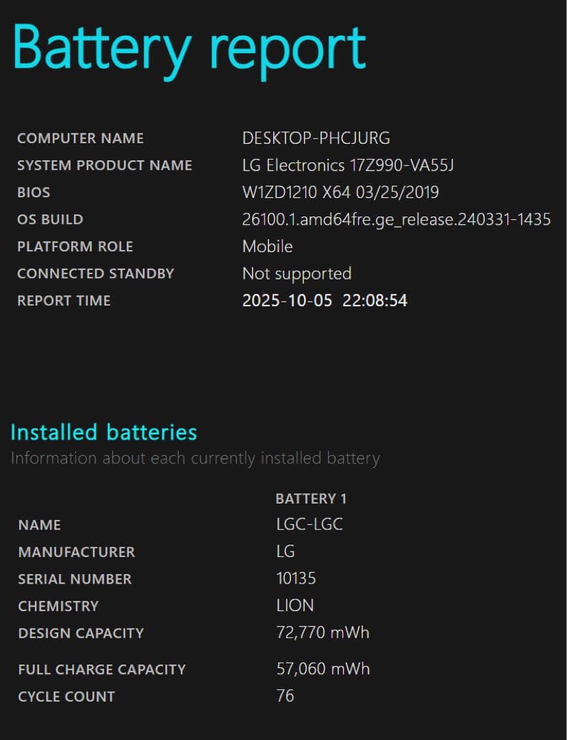 LG gram 17Z990-VA55J 17インチ 24GB化 ケース付き