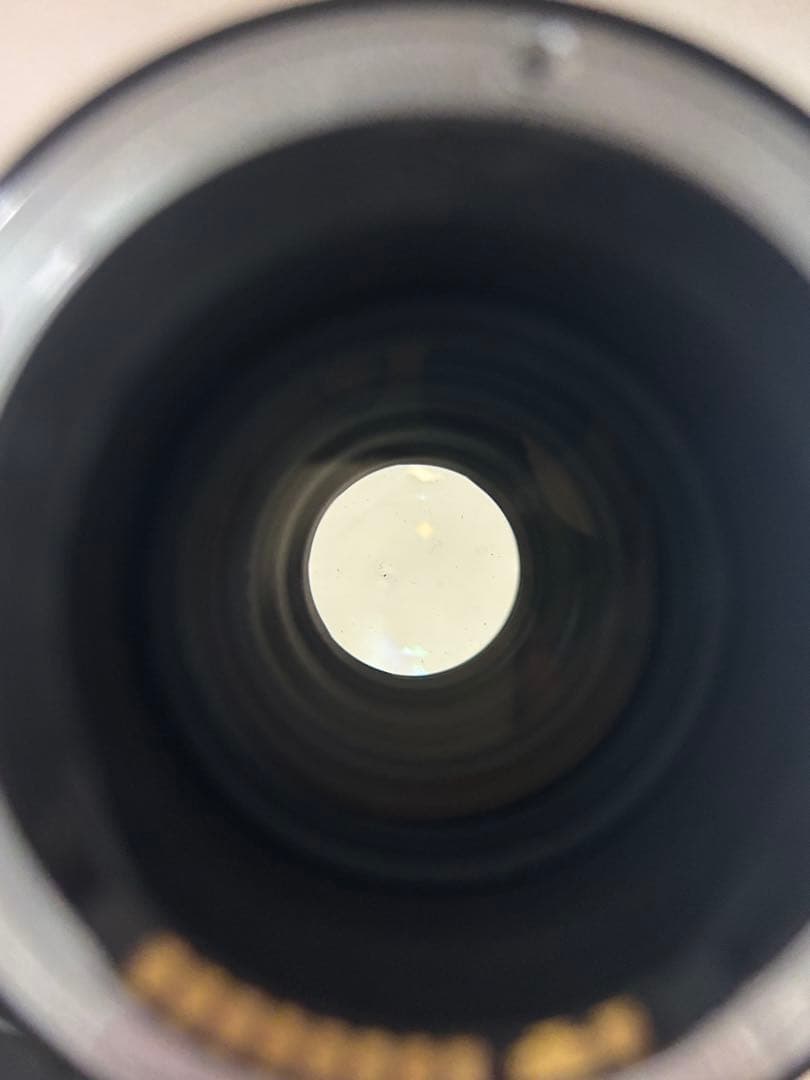 SIGMA 100-300mm F4 APO EFマウント