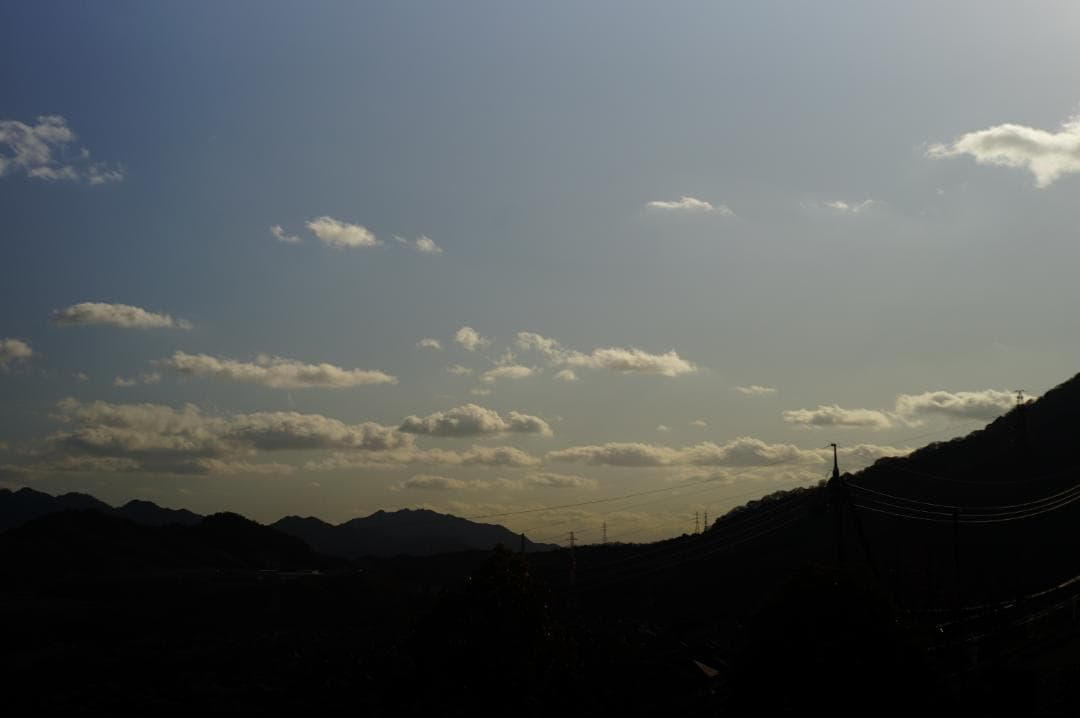 フィルムカメラ NIKON S4 / Nikkor-H.C 5cm f2