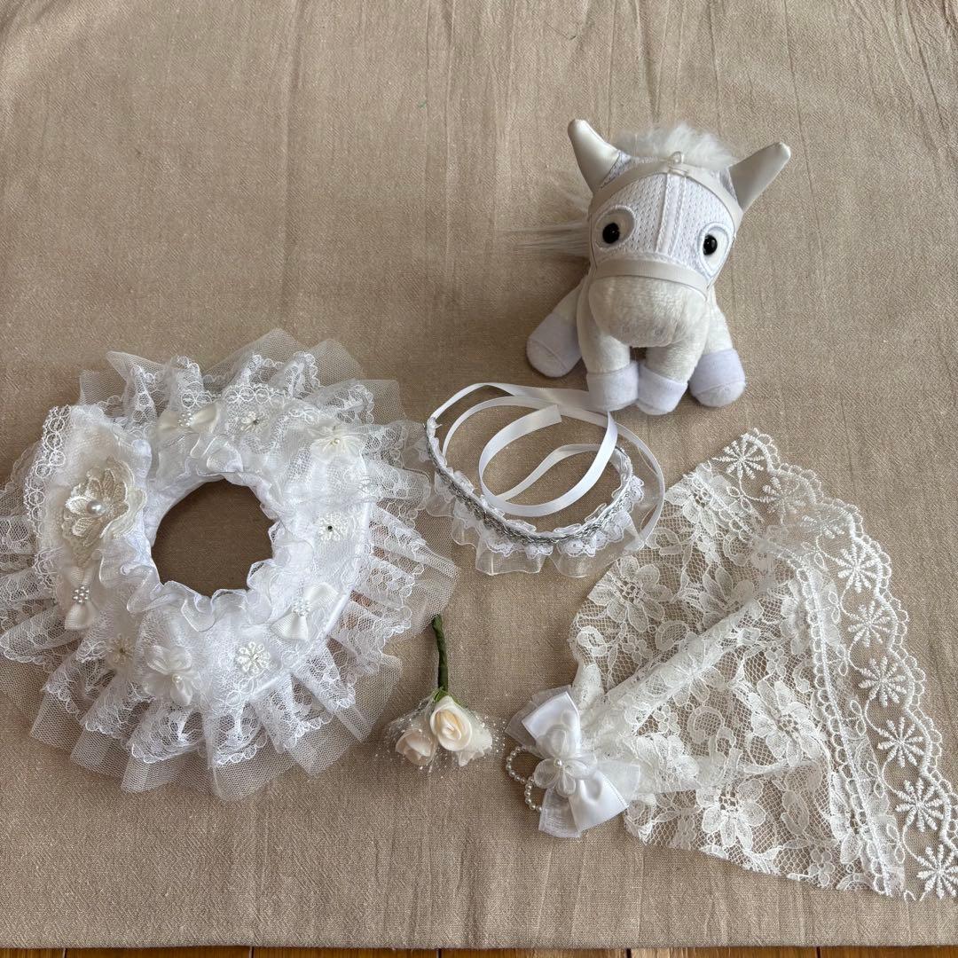 アイドルホース❣️ドレス❣️マント❣️