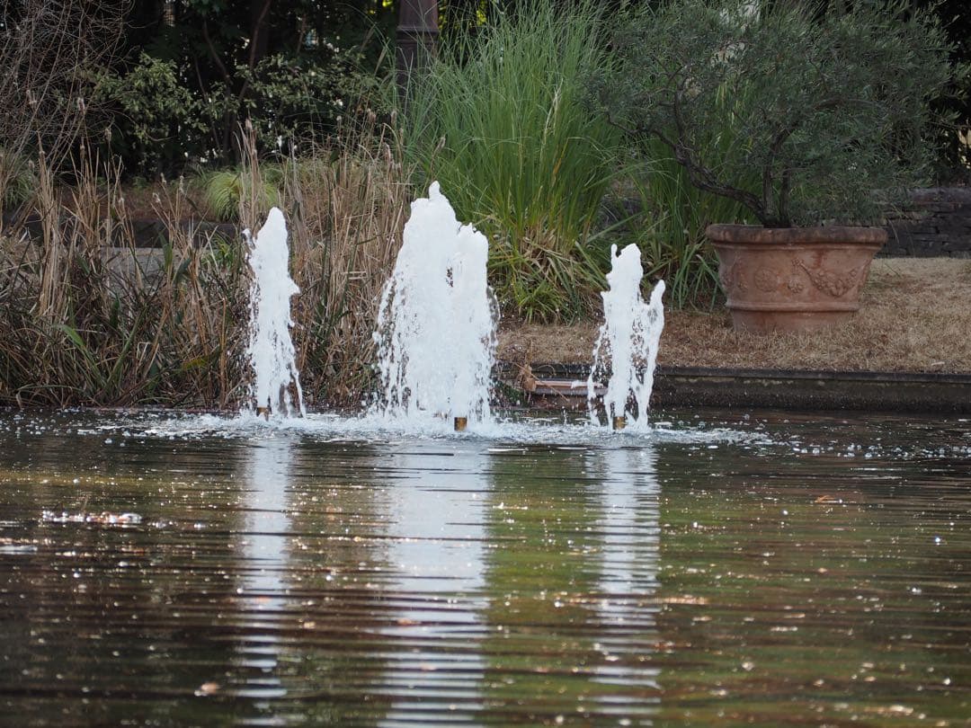 オリンパス PL7 ミラーレス一眼