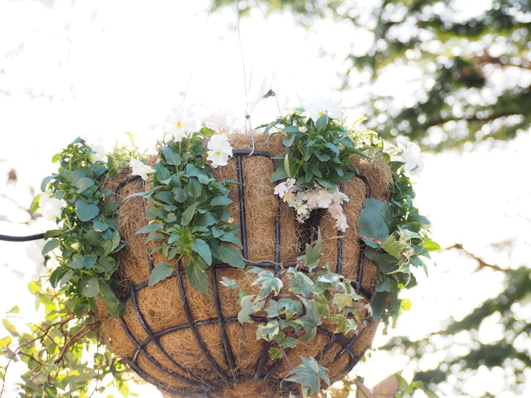 オリンパス PL7 ミラーレス一眼