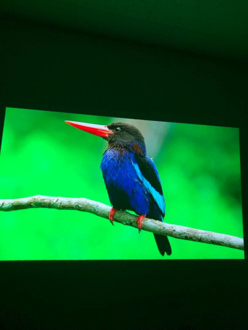 XGIMI MOGO Pro+ 1080pポータブルプロジェクター