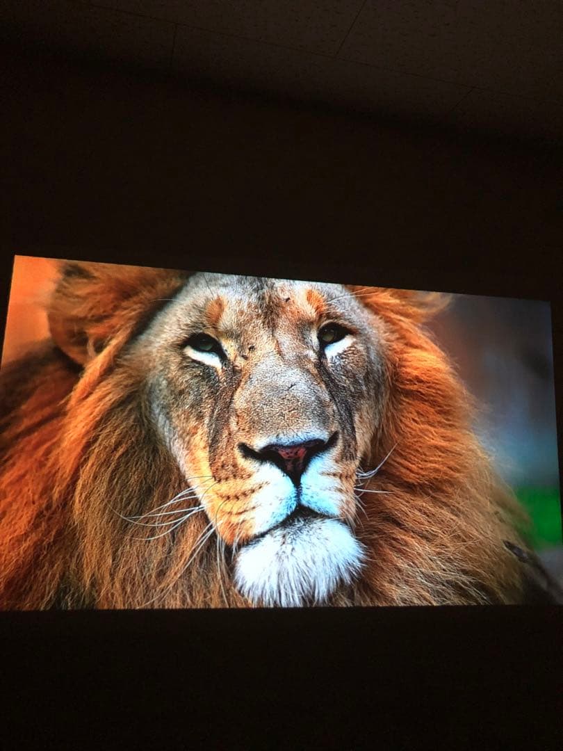 XGIMI MOGO Pro+ 1080pポータブルプロジェクター