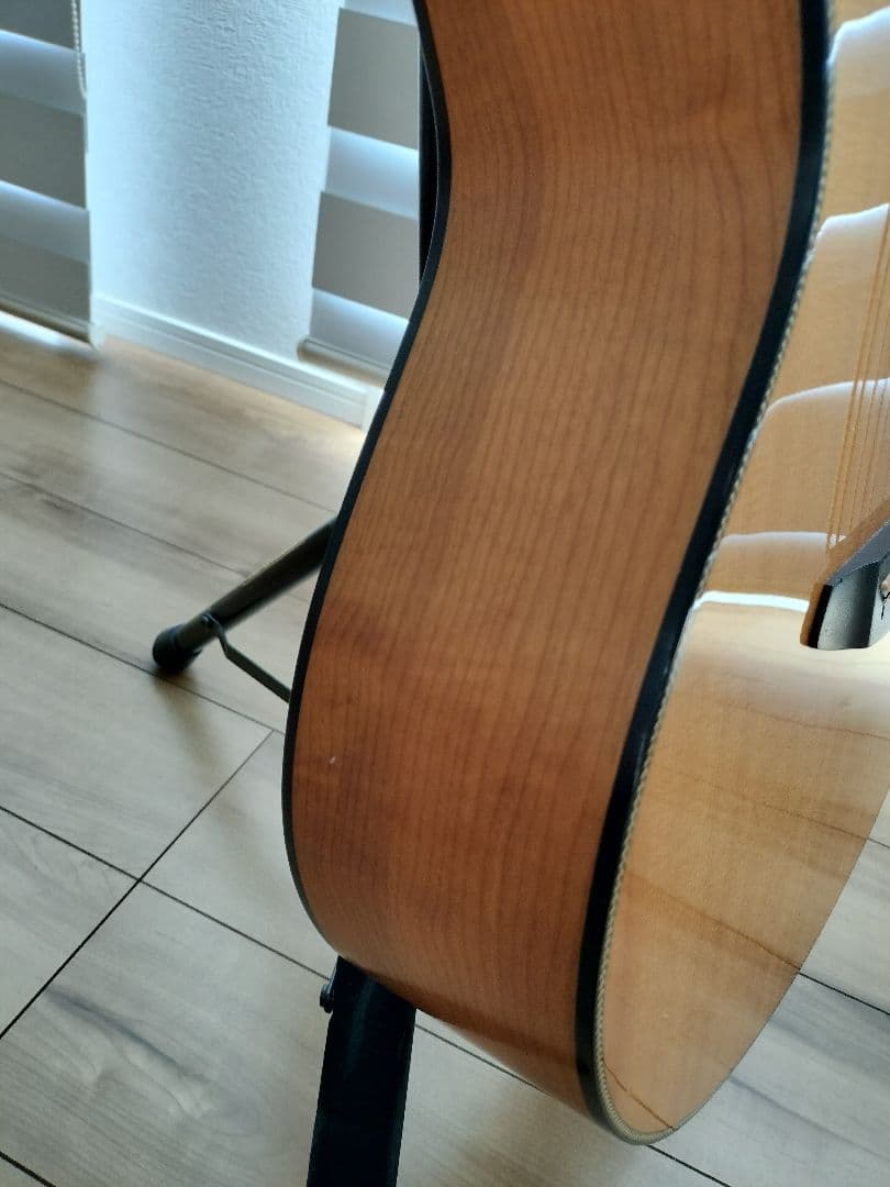 ひじきページ☆ブリードラブBreedlove Oregon