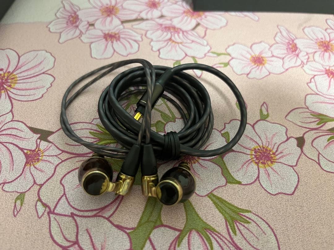 【破損有り】【中古】HA-FW10000 イヤホン