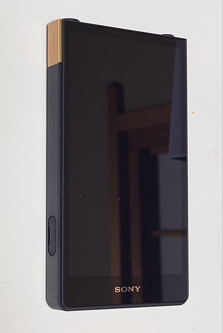 SONY NW-ZX707 WALKMAN 専用純正ケースセット