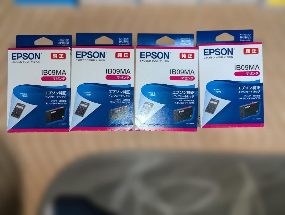 EPSON インクカートリッジ IB09CA IB09MA セット