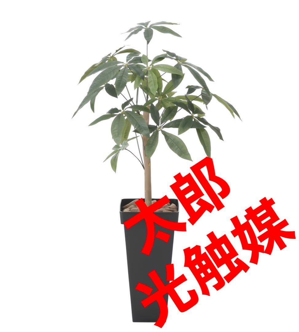 光触媒　人工観葉植物　ウォールグリーン　フェイクグリーン　スリムパキラ1.0