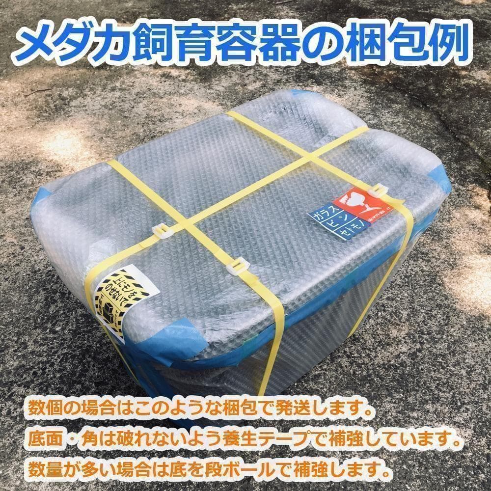 メダカ飼育ケース 75㍑x2個 黒・深緑あり オーバーフロー めだか