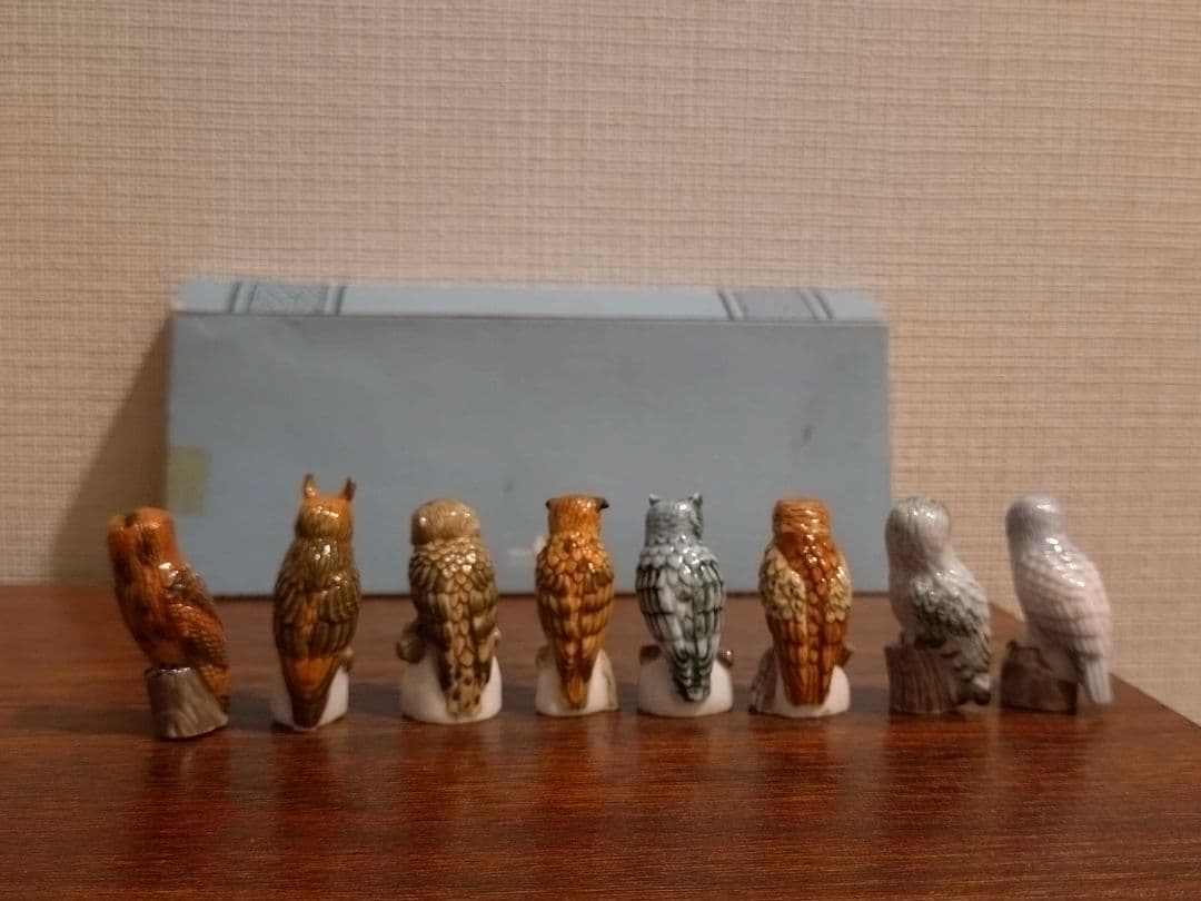 フェーブ　フクロウ　８こセット